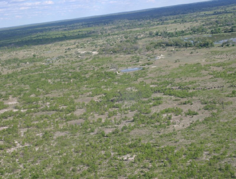 Maun Botswana 