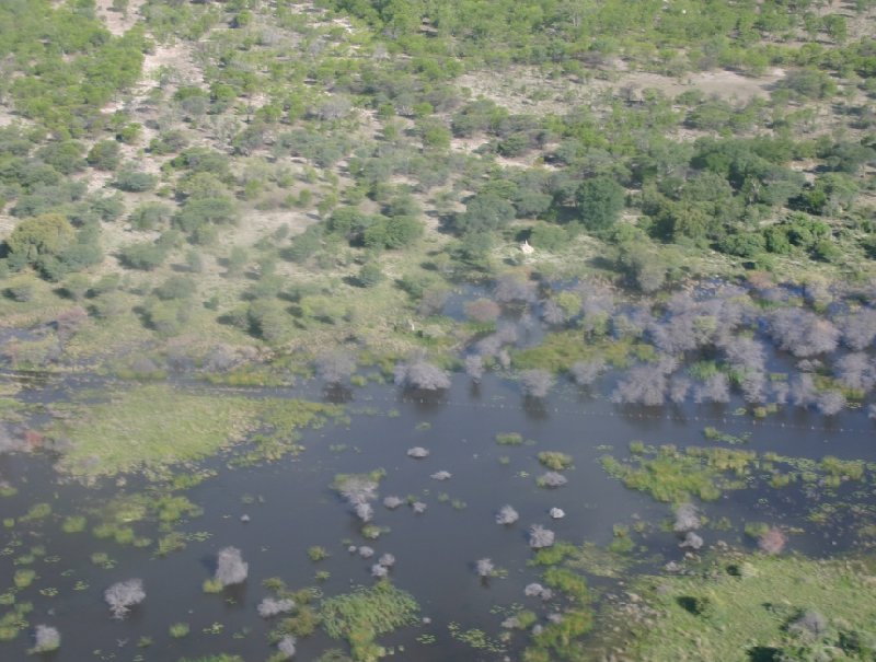 Okavango Delta safari tour Maun Botswana Photographs