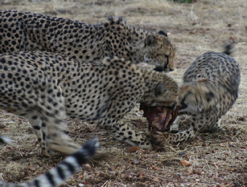   Kamanjab Namibia Travel Photo