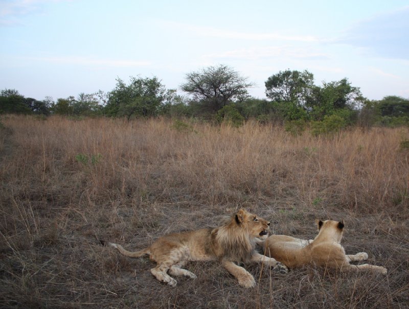 Photo Gweru Antelope Park continues