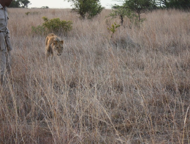 Photo Gweru Antelope Park reasons