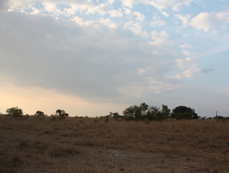 Gweru Antelope Park Zimbabwe Travel Picture