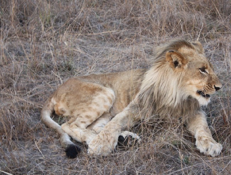 Photo Gweru Antelope Park programme