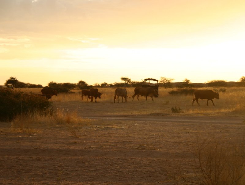   Usakos Namibia Travel Review