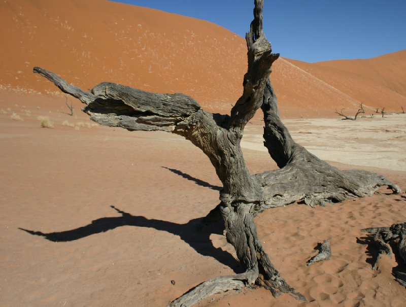 Solitaire Sossusvlei desert camp Namibia Trip Experience