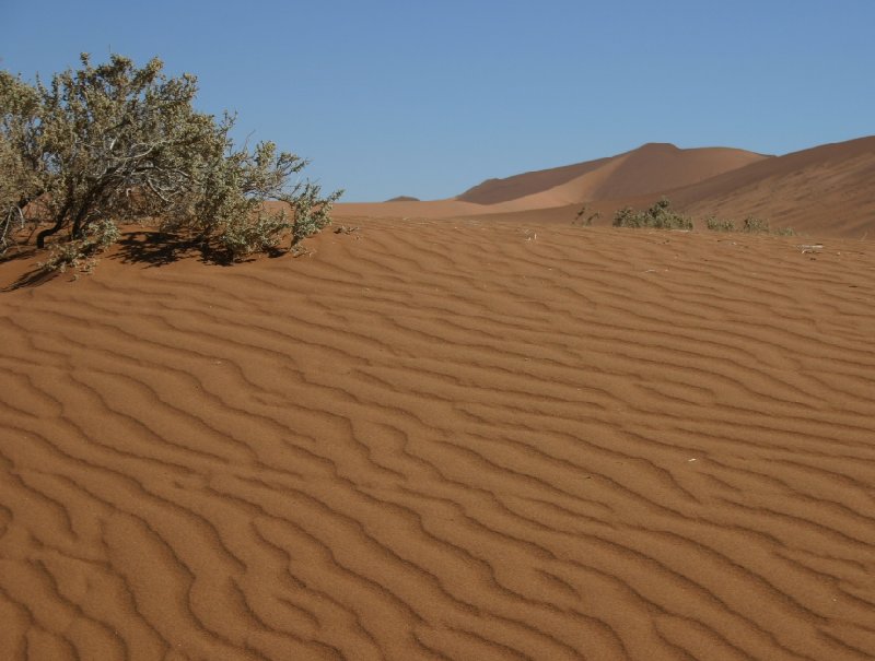 Solitaire Sossusvlei desert camp Namibia Diary Photo