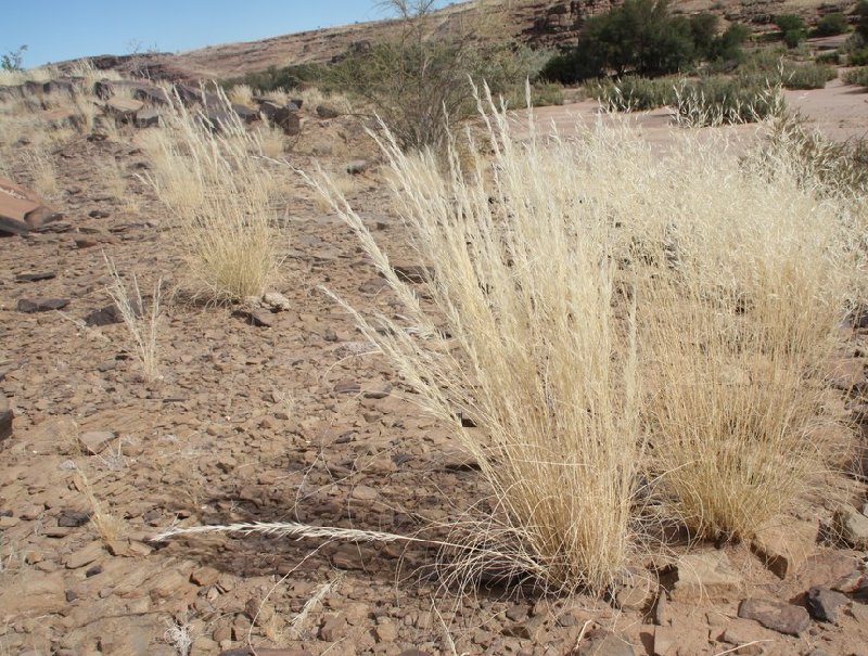 Photo Fish River Canyon Namibia canyon