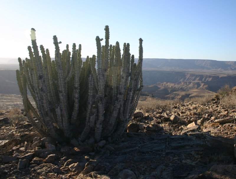 Photo Fish River Canyon Namibia African