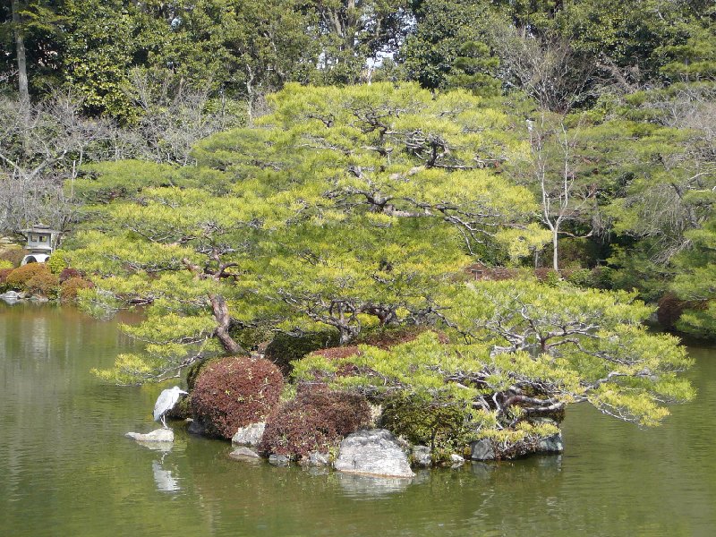 Kyoto Japan 