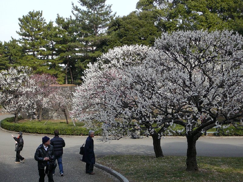 Photo Imperial Palace Tokyo Japan dedicated