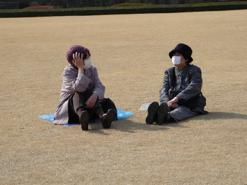   Tokyo Japan Picture gallery