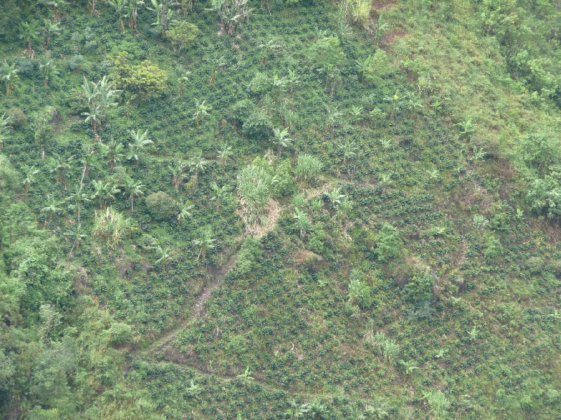 San Agustin Colombia Review Photograph