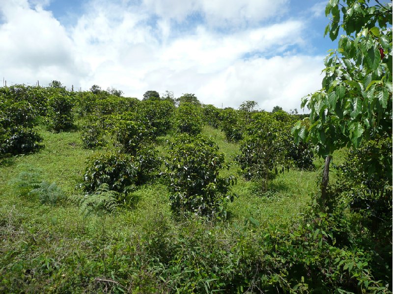 San Agustin Colombia Travel Package