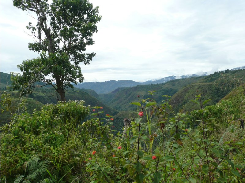 San Agustin Colombia Blog Review