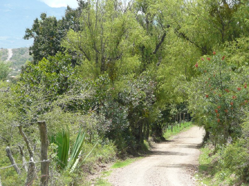   Villa de Leyva Colombia Blog Picture