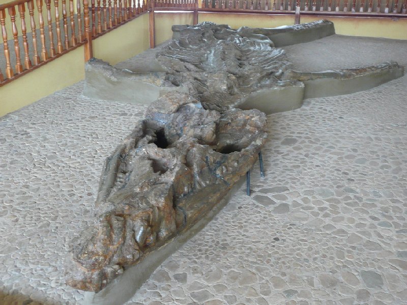Photo Villa de Leyva Colombia fossils