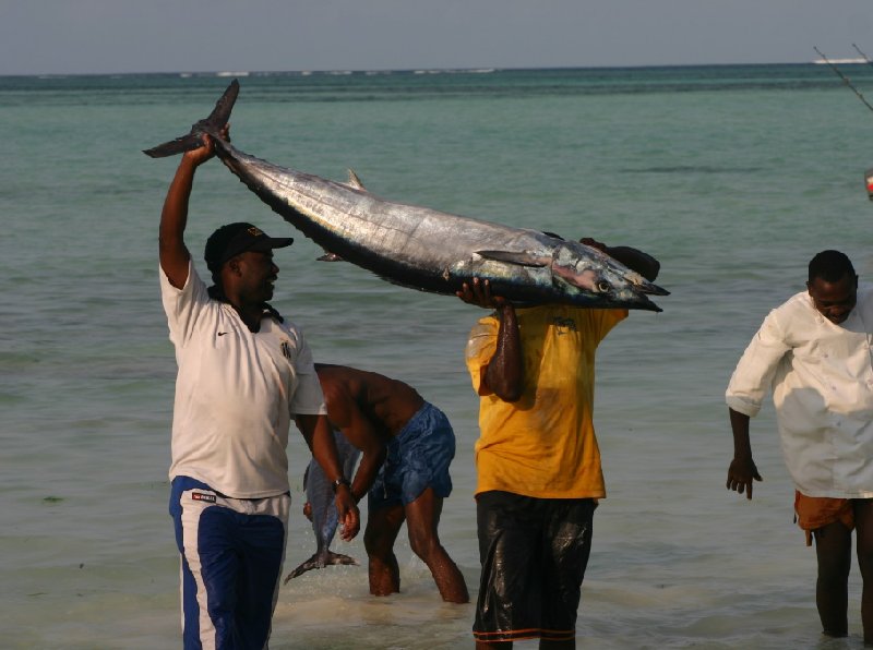 Pongwe Tanzania 