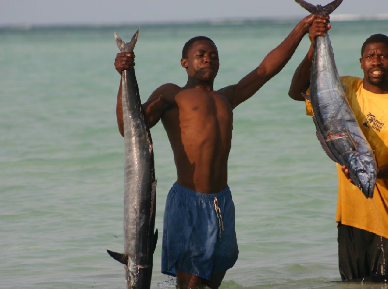 Pongwe Beach Resort Zanzibar Tanzania Blog Experience