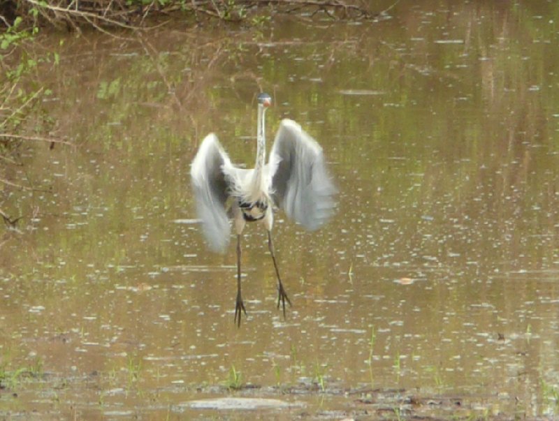 Photo Los Llanos Venezuela Tours beautiful