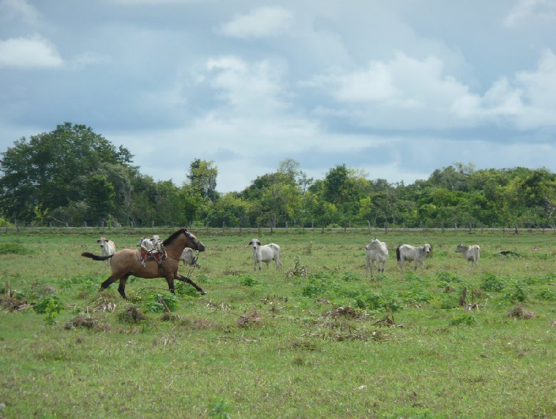 Photo Los Llanos Venezuela Tours spreading