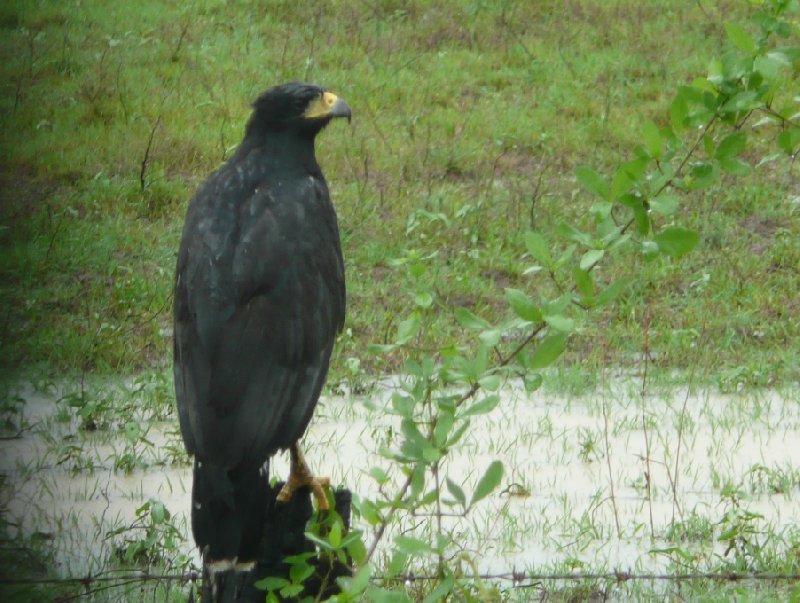 Photo Los Llanos Venezuela Tours thirds