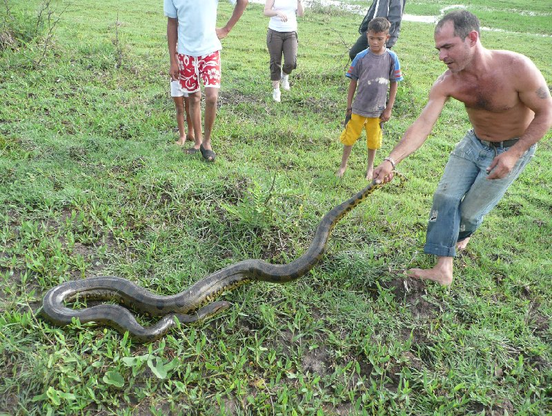 Los Llanos Venezuela Tours Barinas Review Gallery