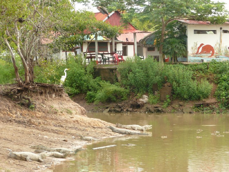 Los Llanos Venezuela Tours Barinas Trip Pictures