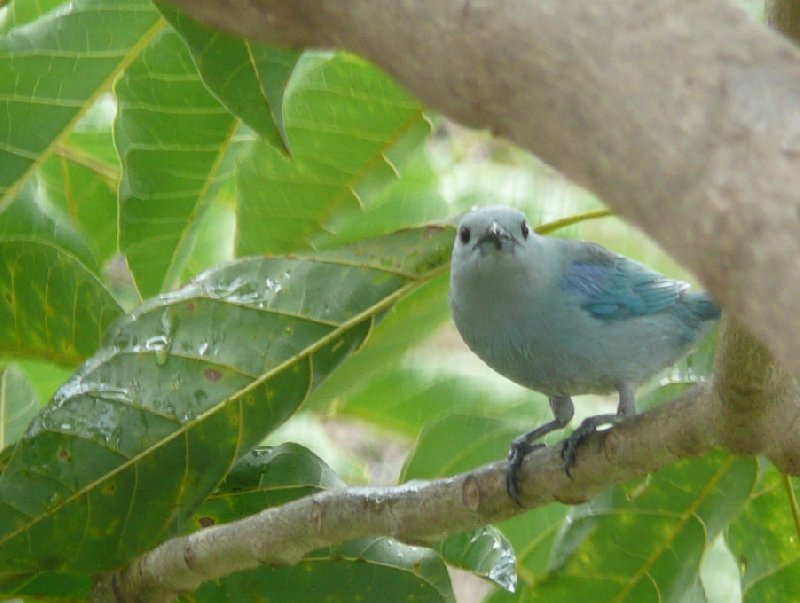 Photo Los Llanos Venezuela Tours morning