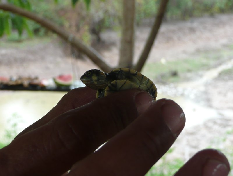 Photo Los Llanos Venezuela Tours During