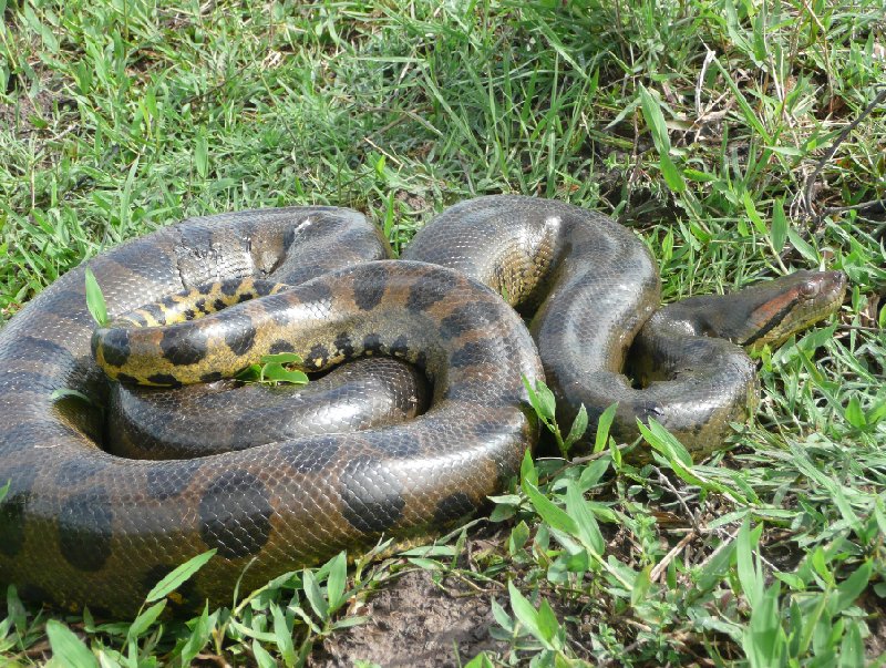 Photo Los Llanos Venezuela Tours lasted