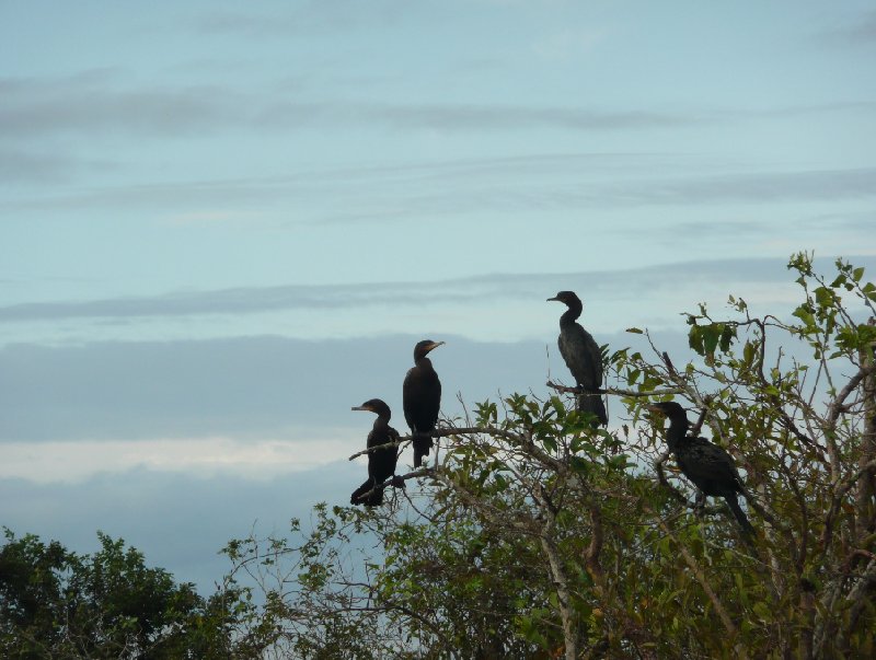 Los Llanos Venezuela Tours Barinas Trip Photographs