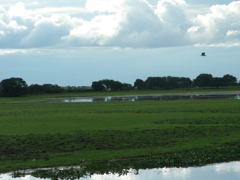 Los Llanos Venezuela Tours Barinas Travel Review