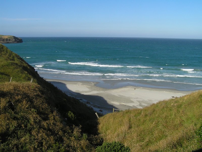   Dunedin New Zealand Review Picture