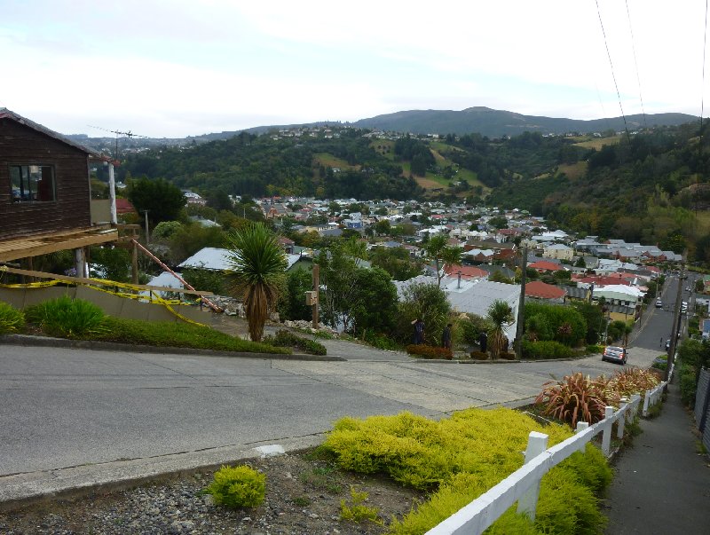 Travelling Otago Peninsula, New Zealand Dunedin Vacation