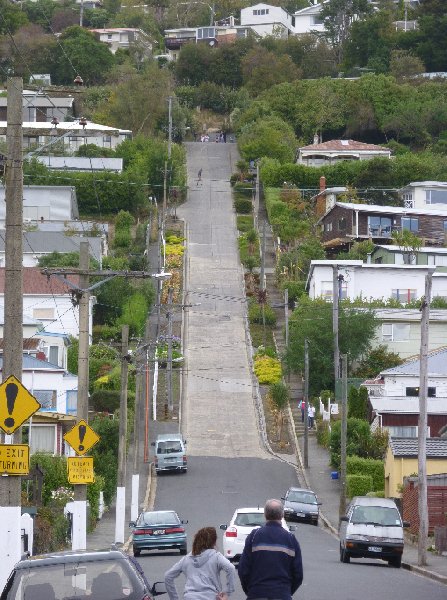   Dunedin New Zealand Album