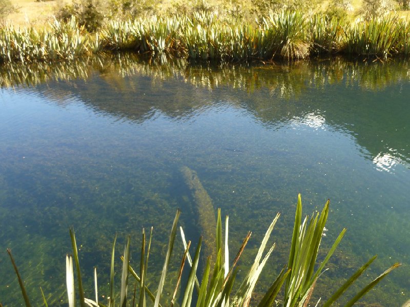 Invercargill to Te Anau New Zealand Album Photographs