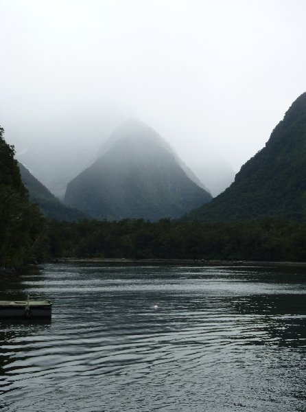   Milford Sound New Zealand Diary Information