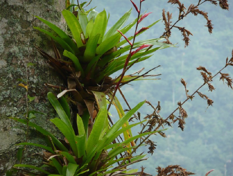 Photo Ciudad Perdida trek Colombia before