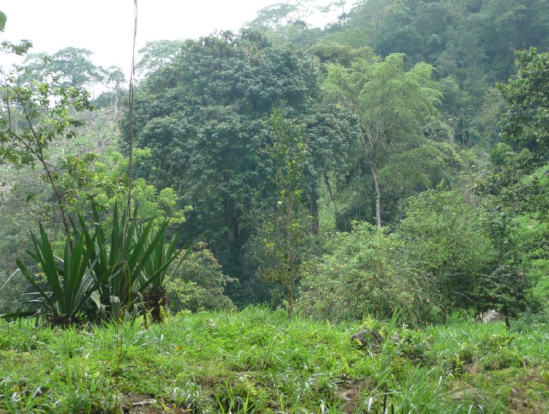 Photo Ciudad Perdida trek Colombia through