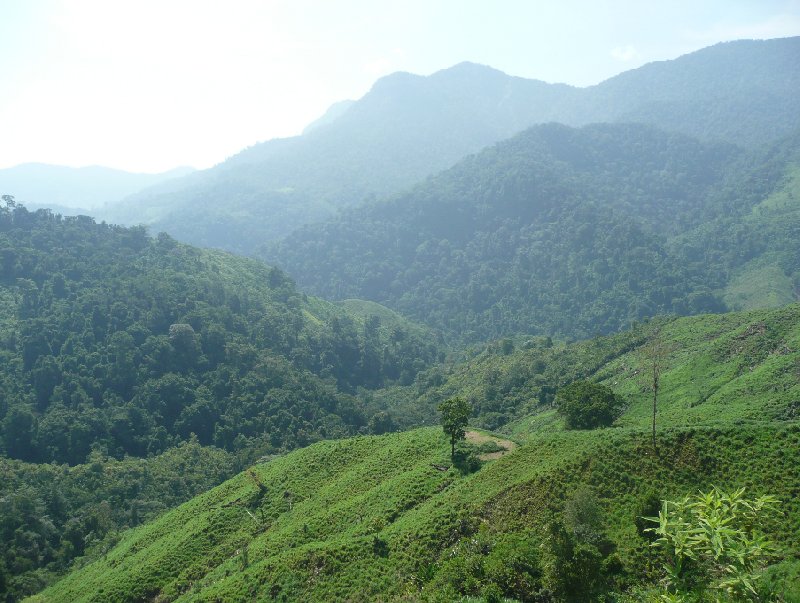 Ciudad Perdida trek Colombia Adventure