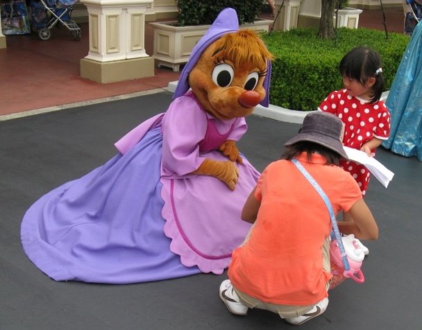 Photo Tokyo Disneyland photos highlight