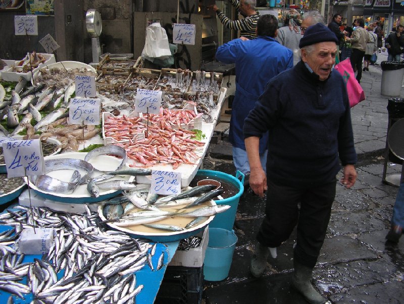   Naples Italy Diary Adventure
