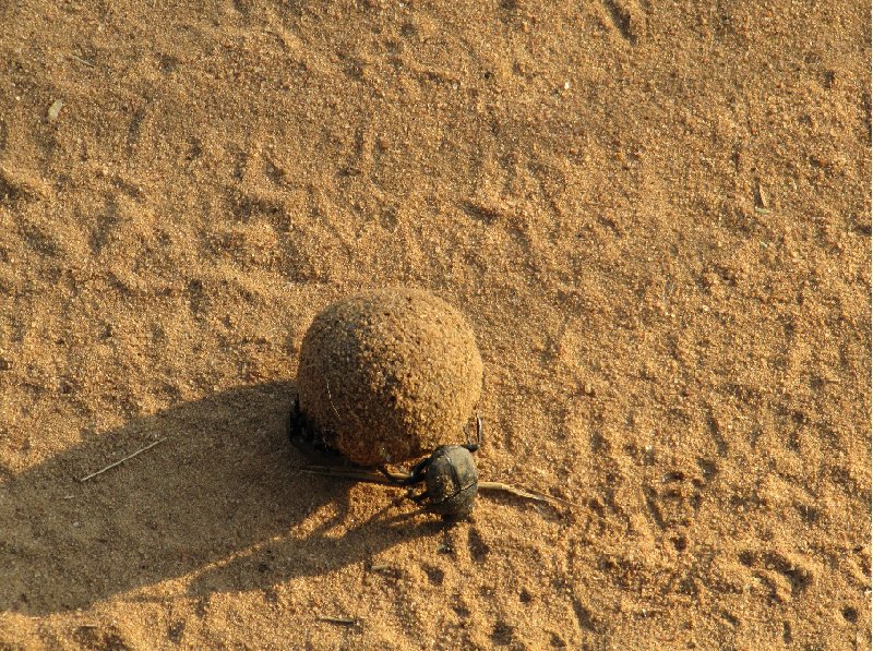 Masindi Uganda 