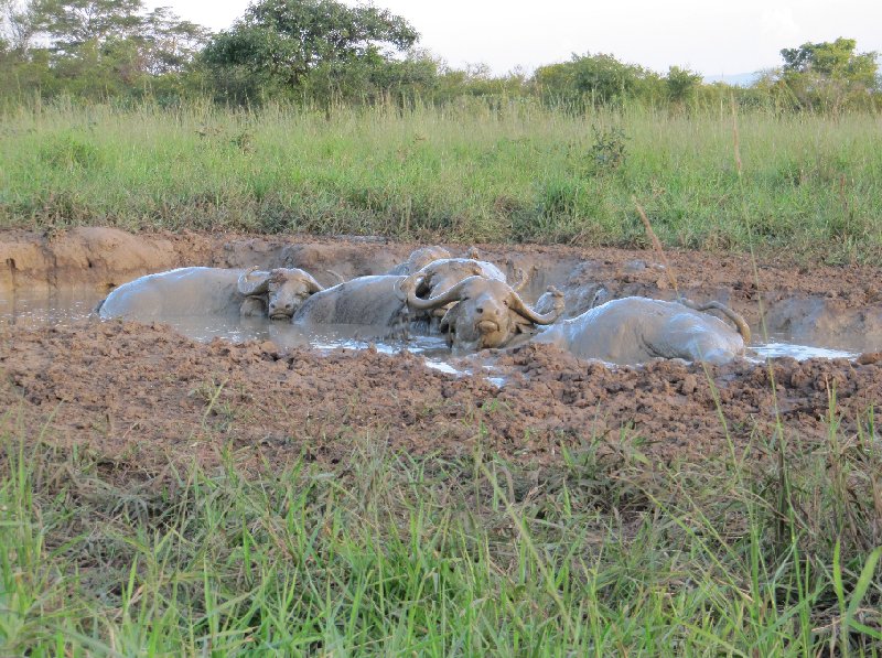   Masindi Uganda Photograph