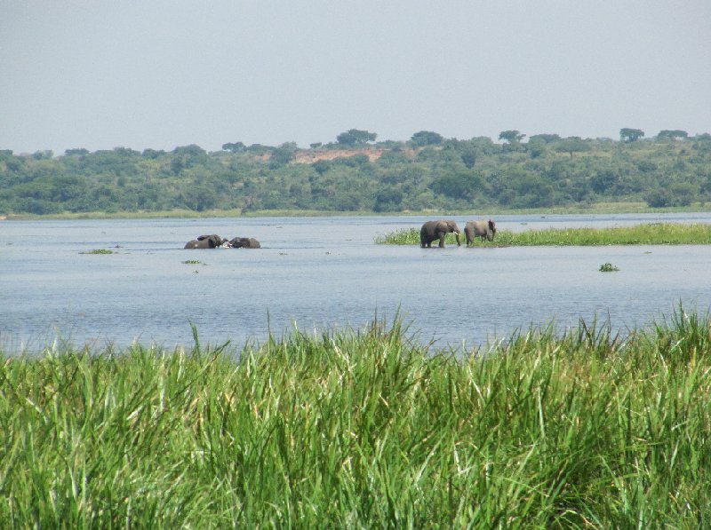 Uganda tours and safaris Masindi Blog