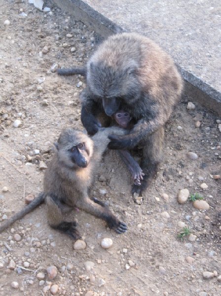 Masindi Uganda 