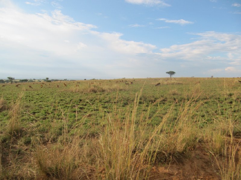 Masindi Uganda 