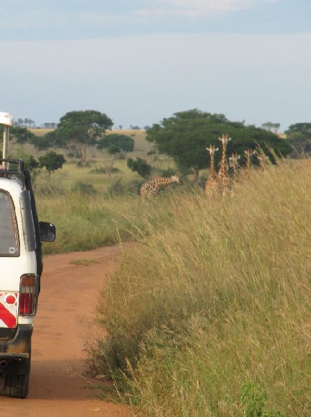 Photo Uganda tours and safaris supervision