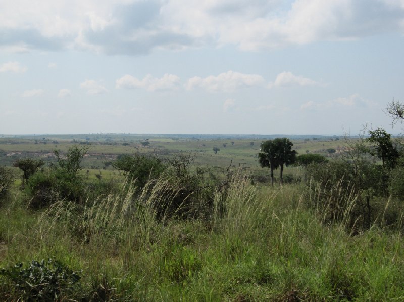 Uganda tours and safaris Masindi Blog Experience