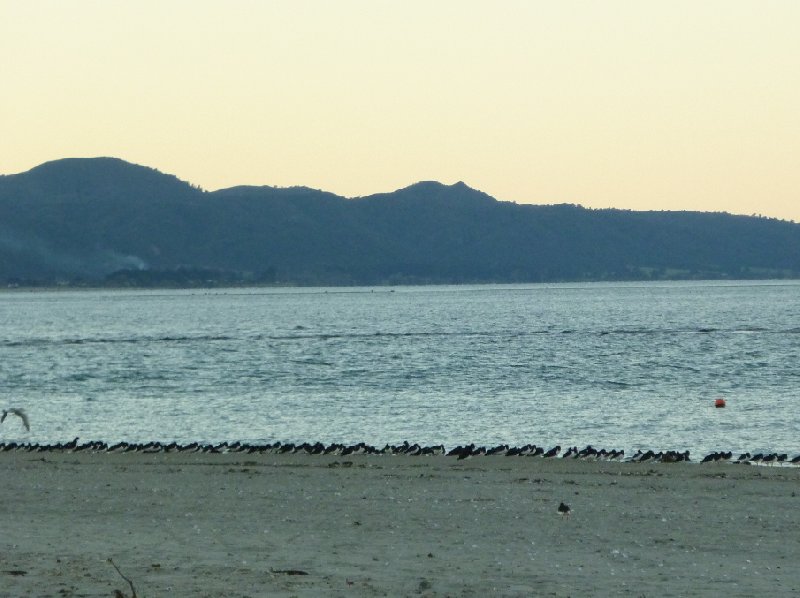 Photo Abel Tasman tours New Zealand National